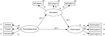 Psychological Abuse and Social Support in Chinese Adolescents: The Mediating Effect of Self-Esteem